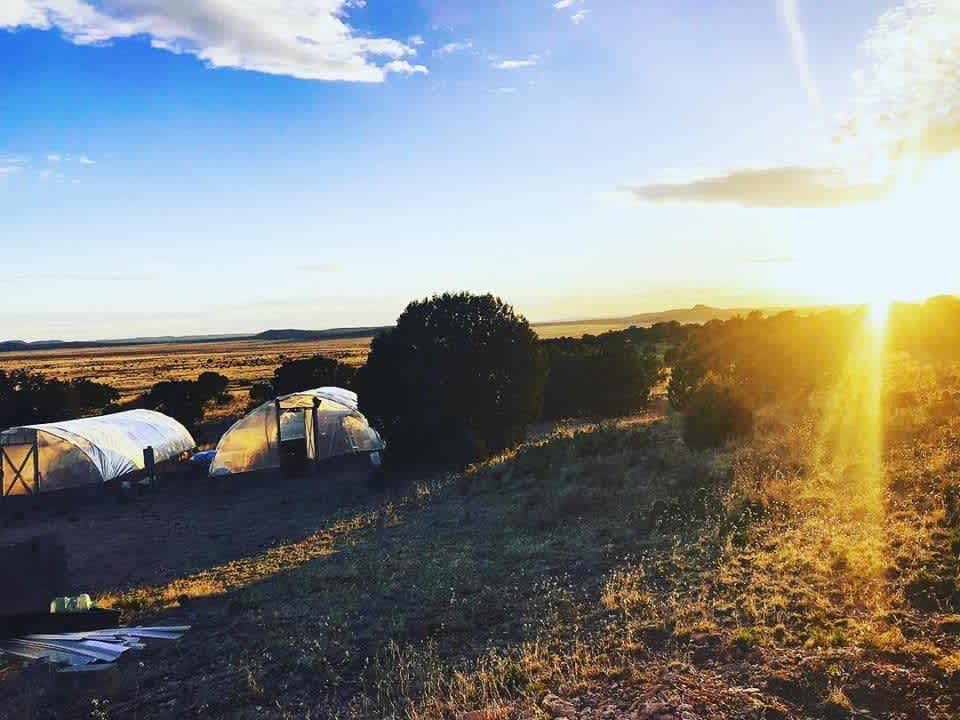 Sunset Views over Greenhouse 