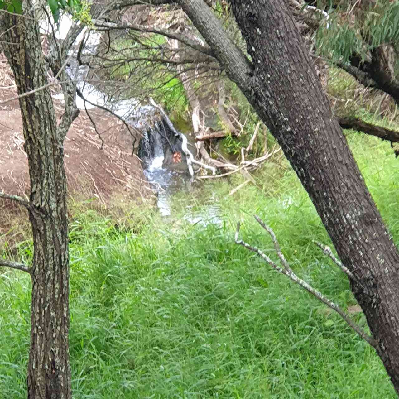 Waterfall Views