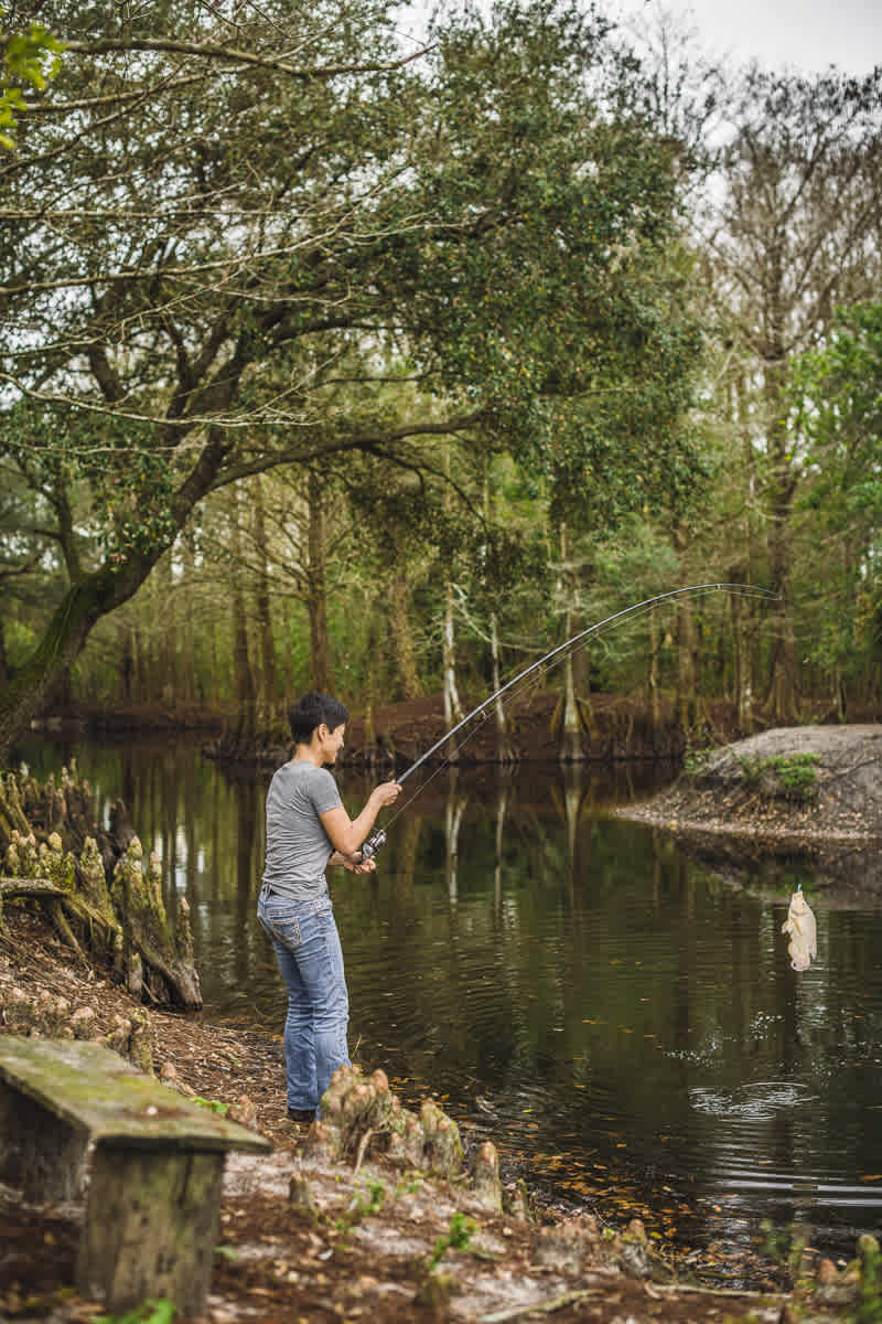 The pond is full of fish!