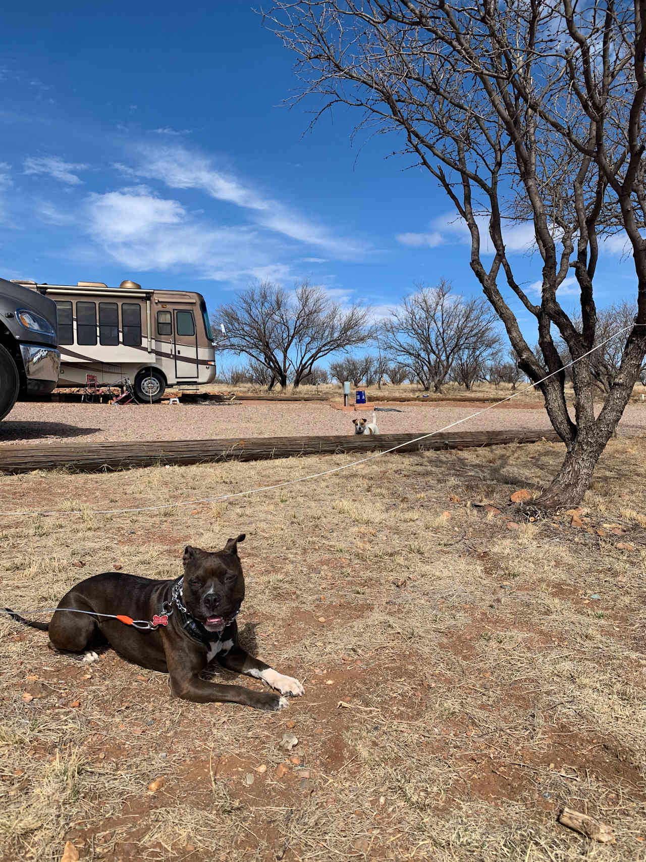 Rancho del Nido RV Horse Camp