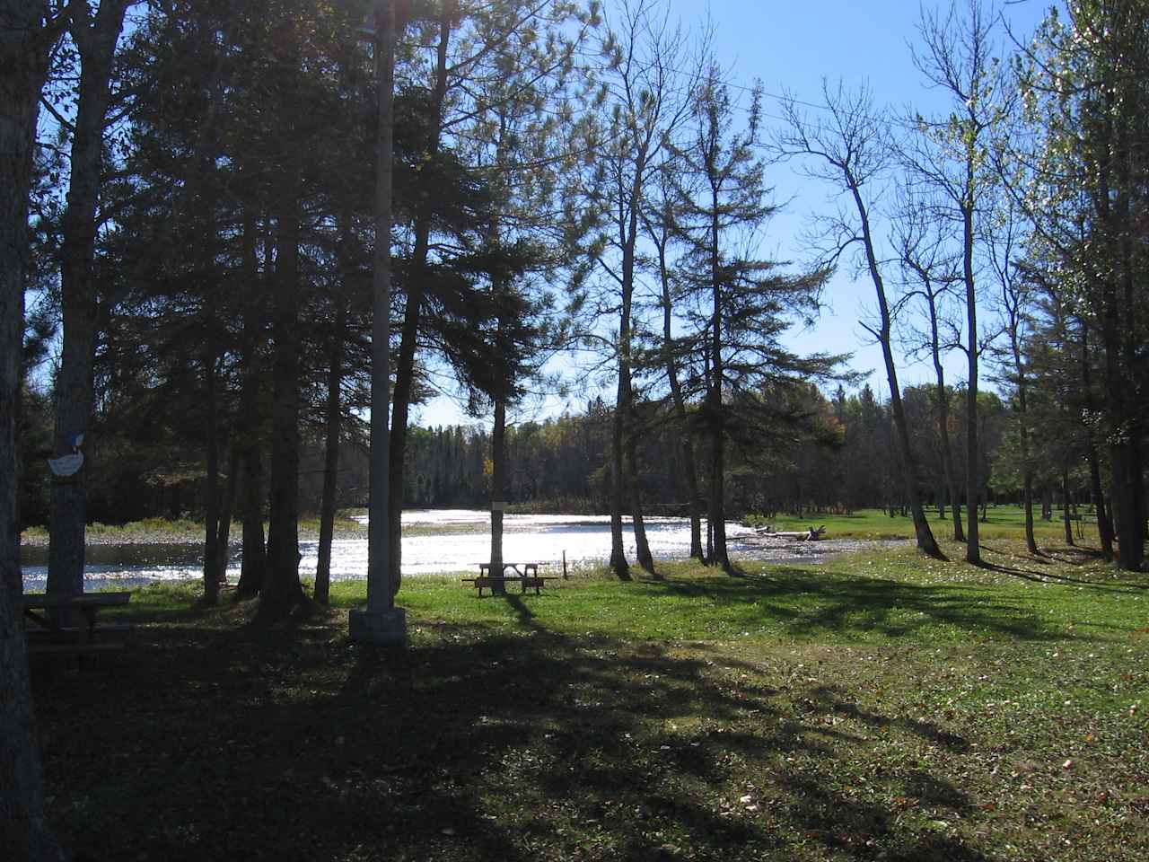 Along the River Among the Pines