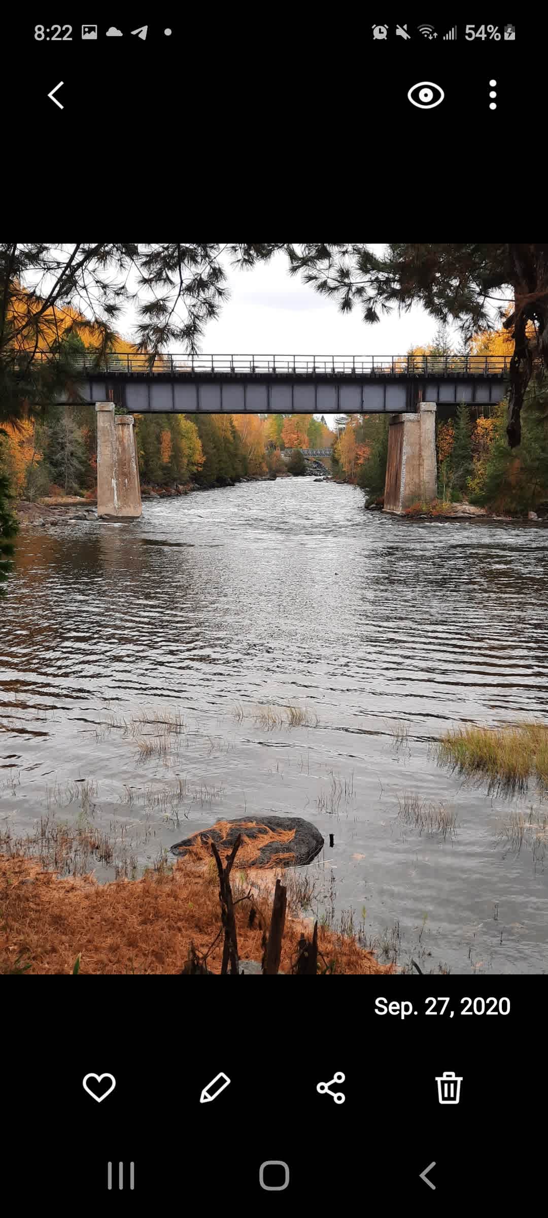 Along the River Among the Pines