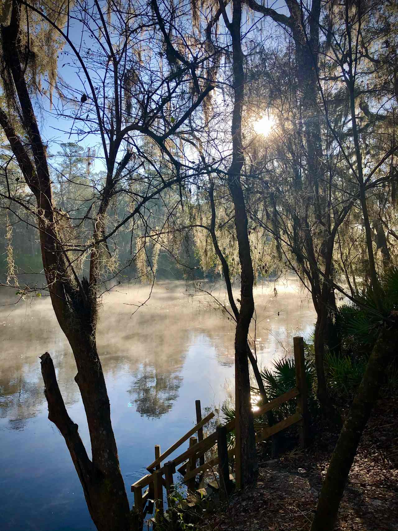 Beautiful sunrise on the Suwannee River 💗