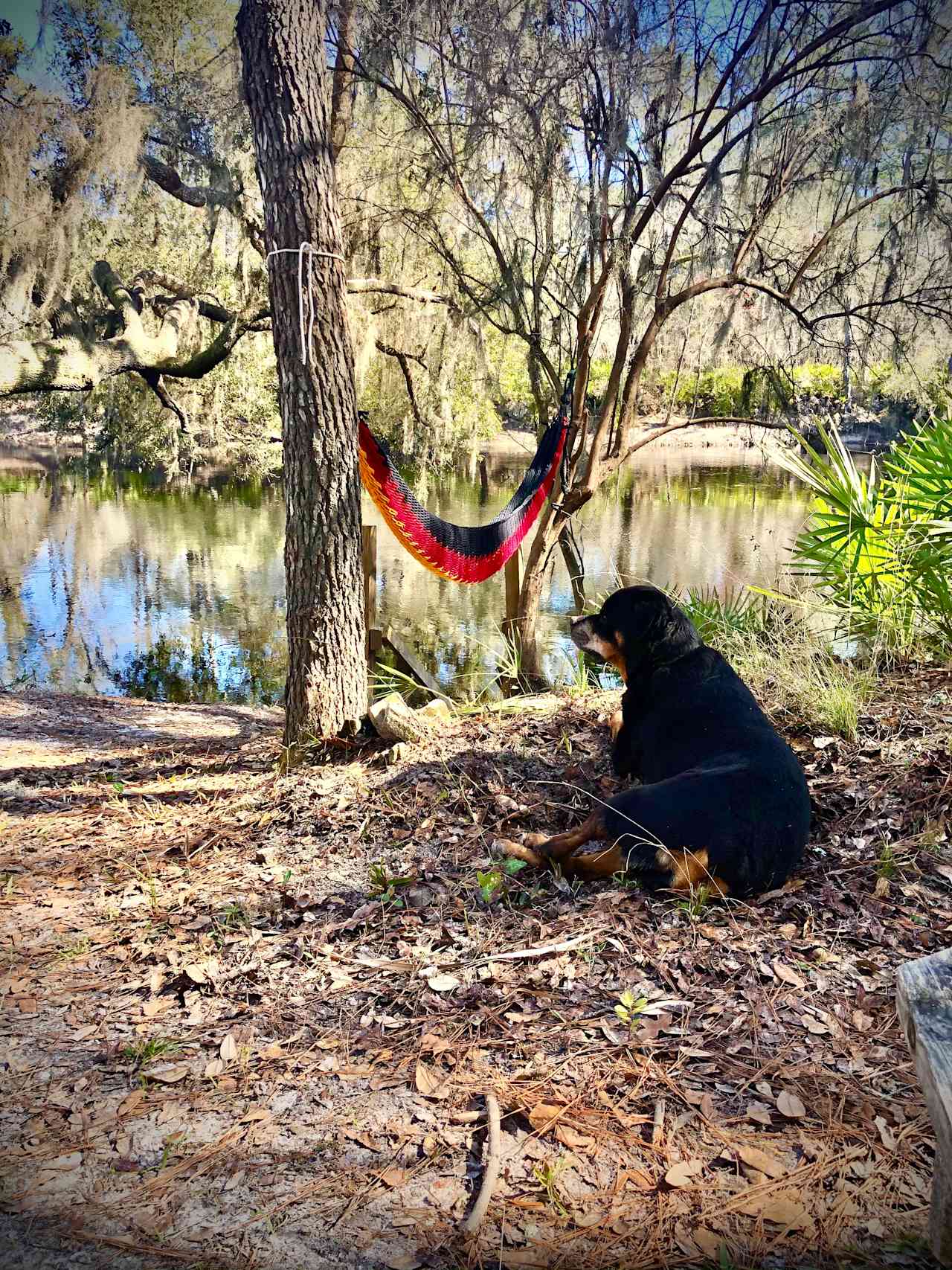 Off Grid River Camping