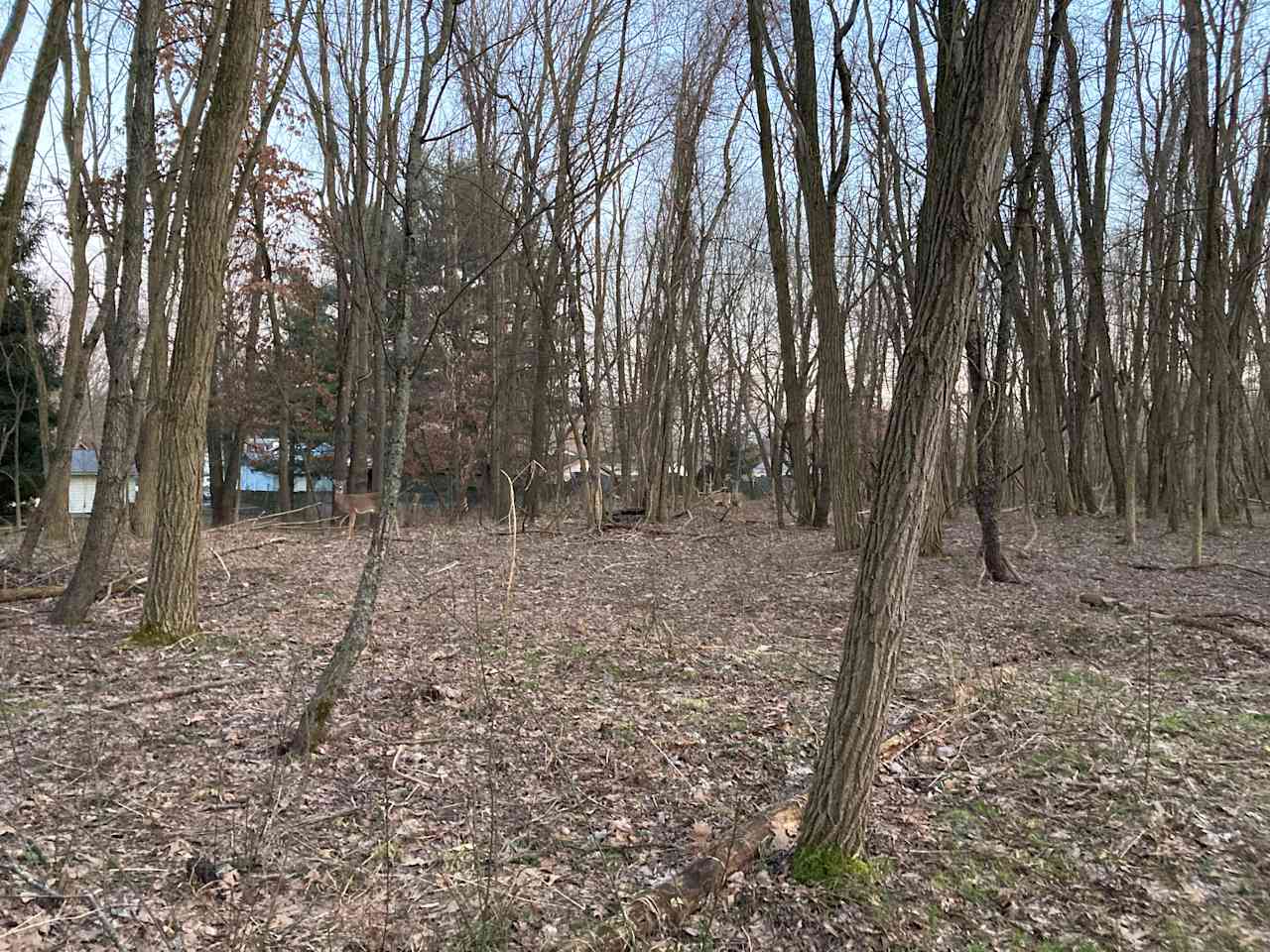 Camp near the Portage Lakes