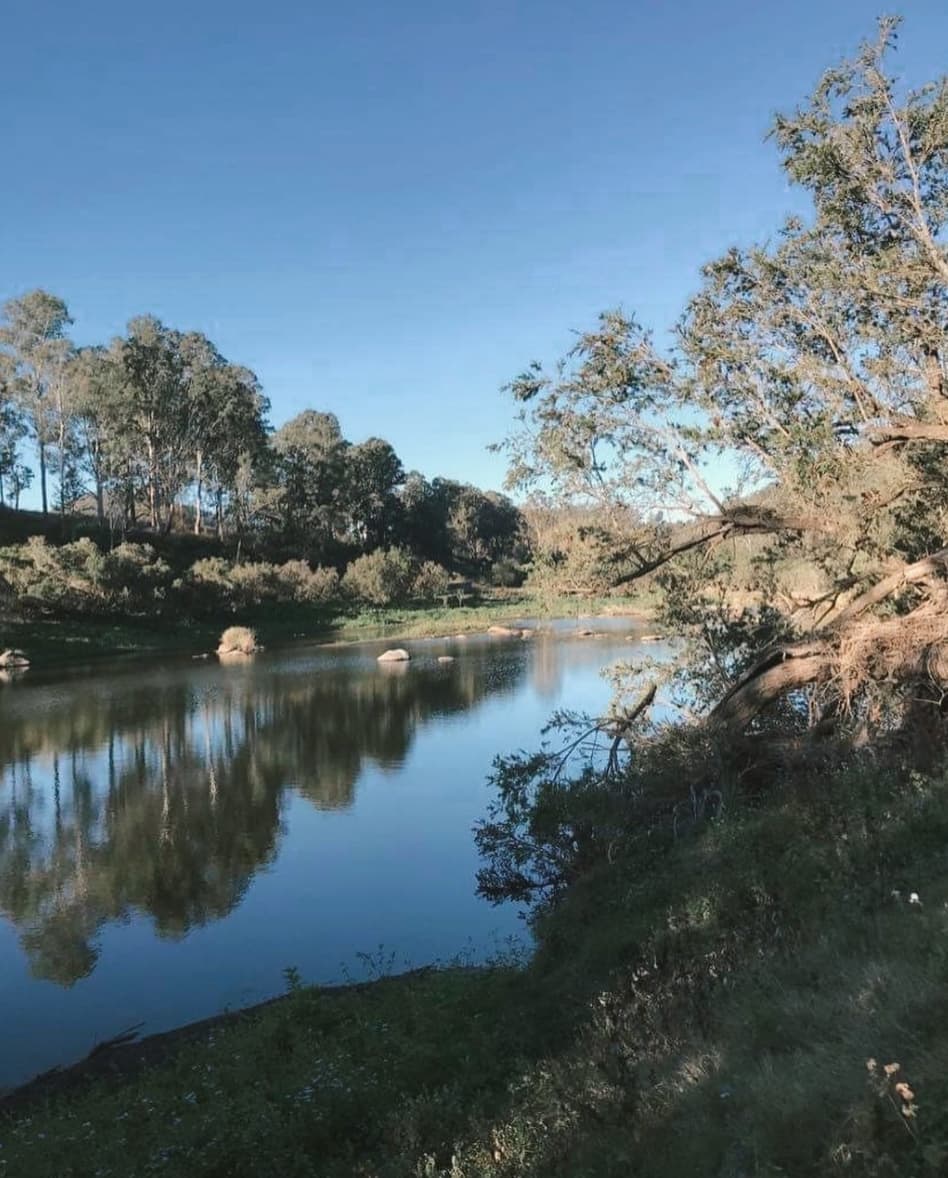 On the banks of the Clarence - not too far from the campgrounds