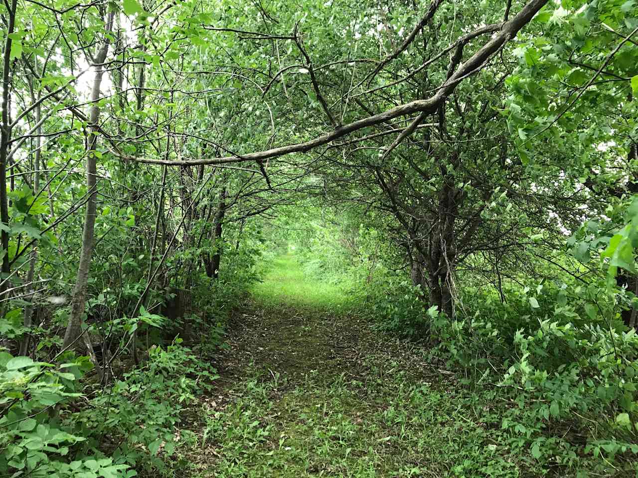 Farm Camping by Pond Melancthon, ON