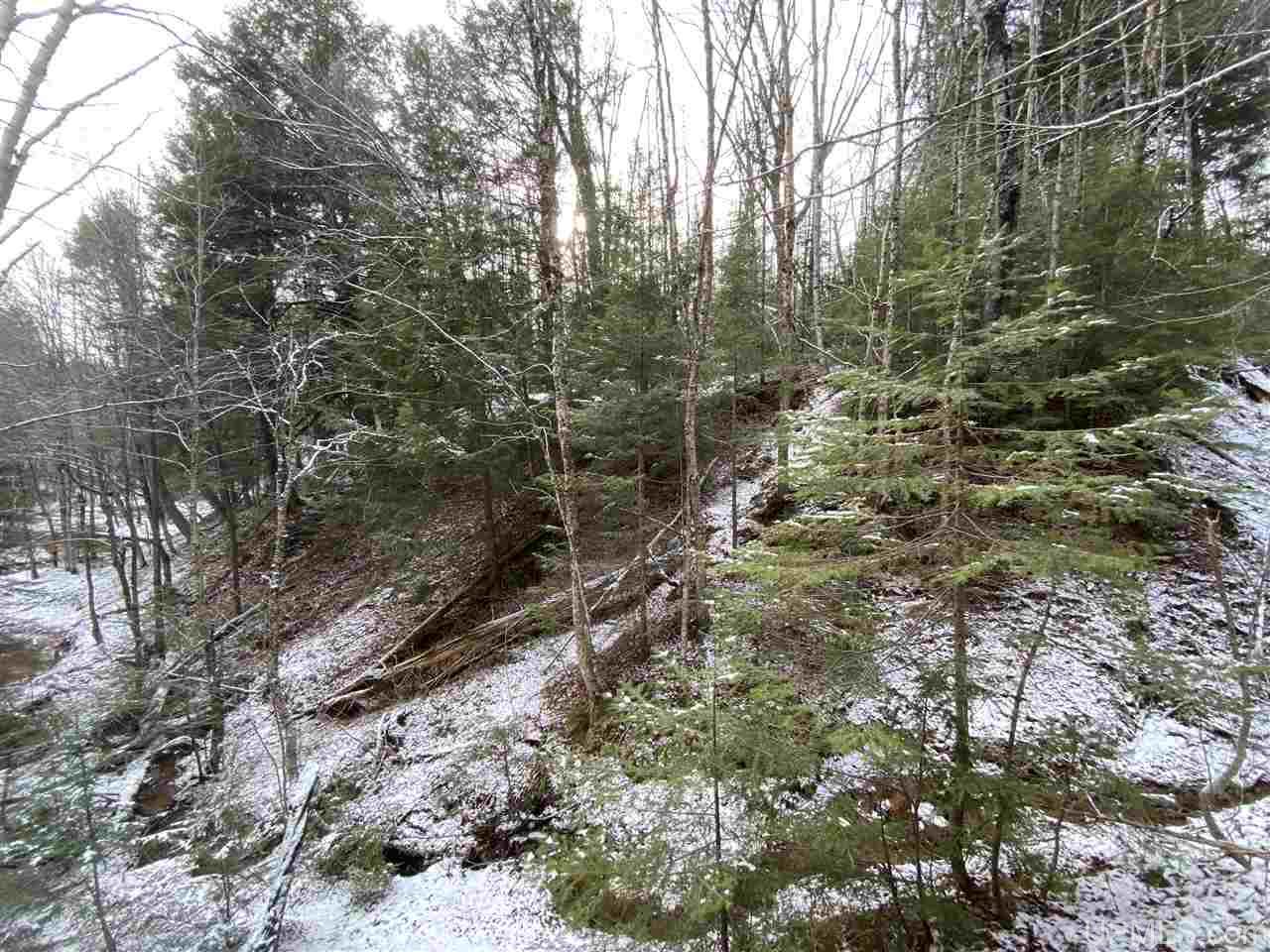 Heavily wooded, with creek