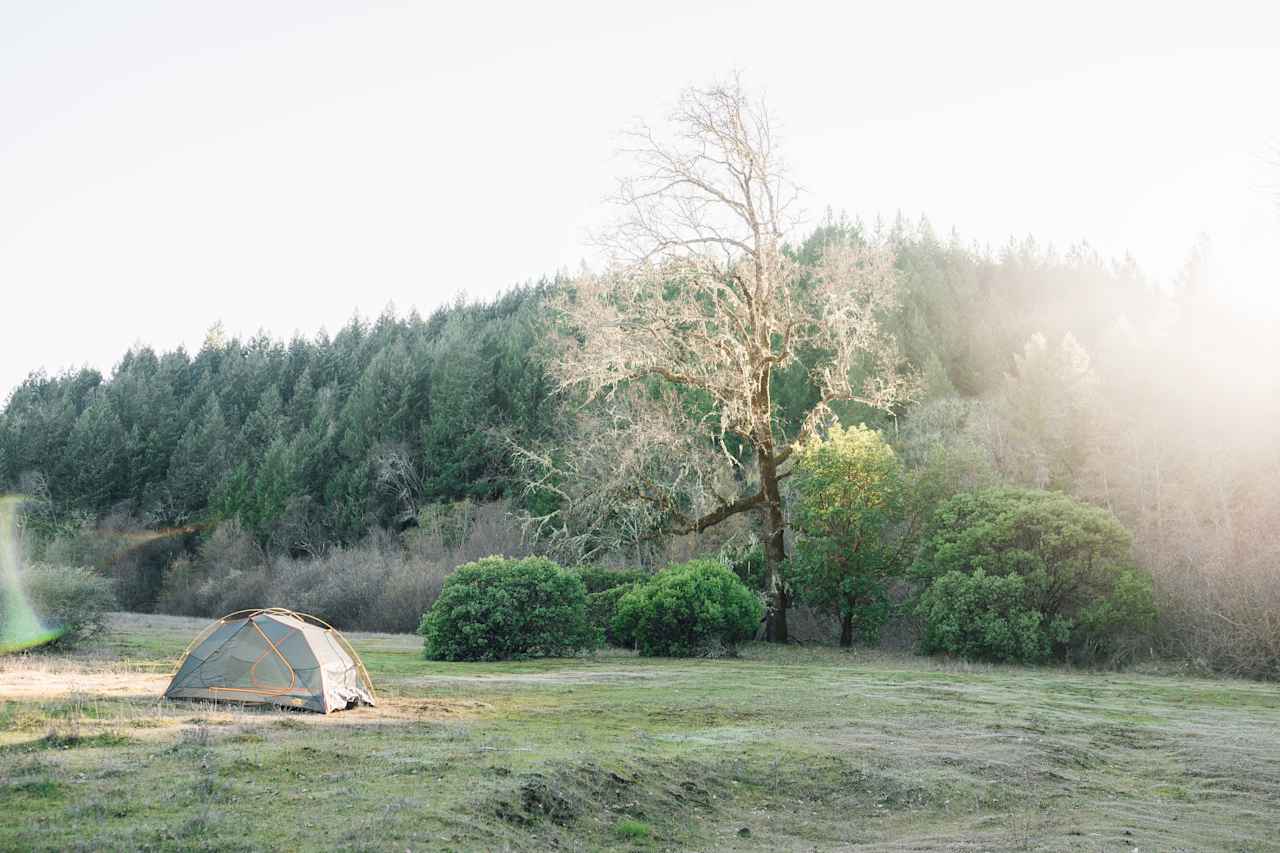 Dreamy evenings at Creekside Camp 1