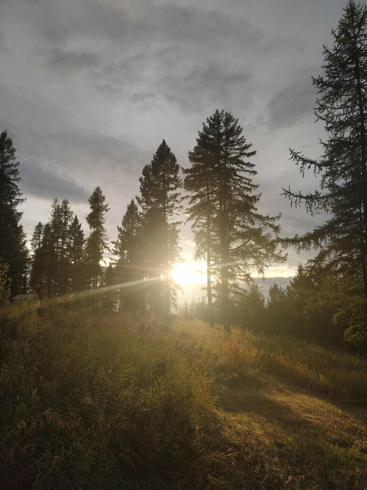 Gold Forest Glamping, Amazing Views