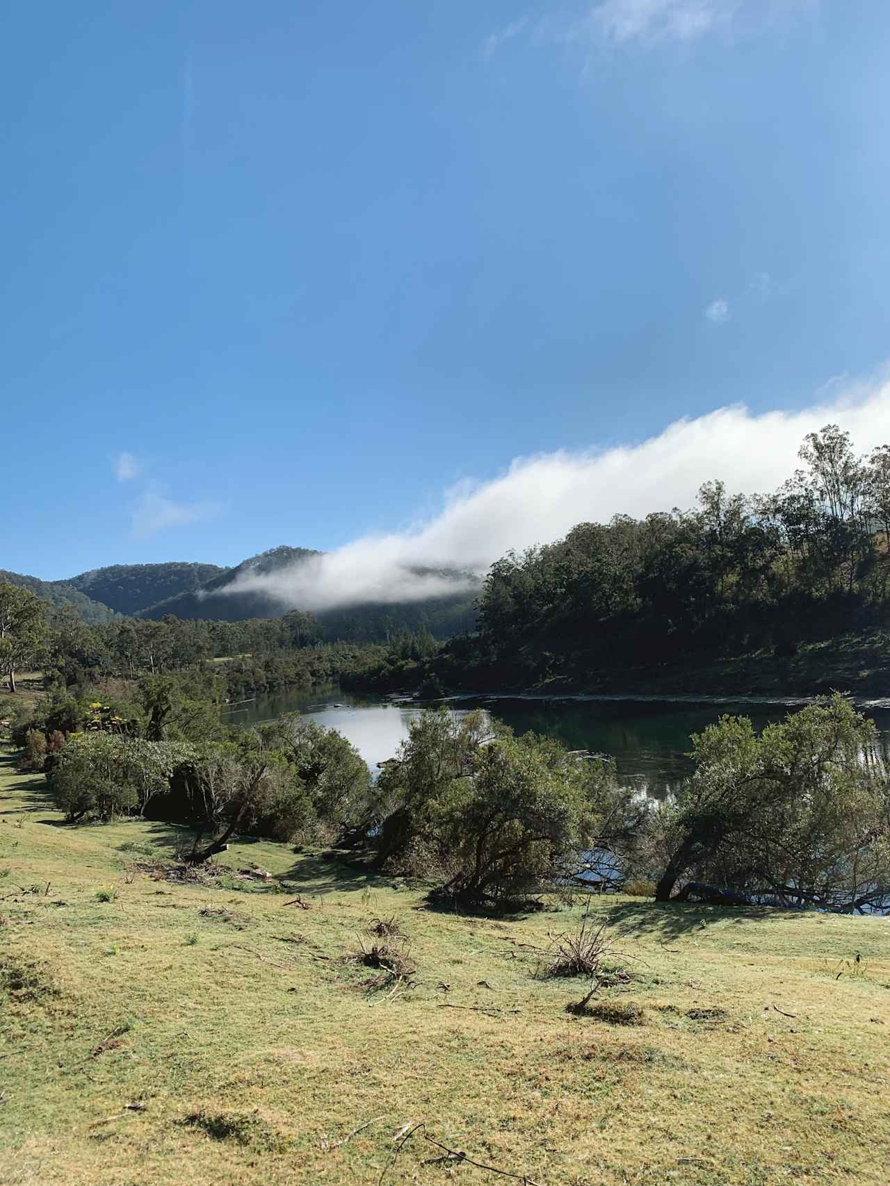 The view from the edge of the campground - a short walk to The Clarence River