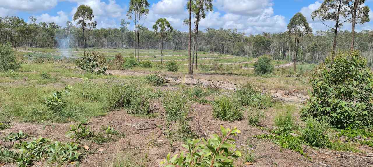 Waterloo Bush Camping