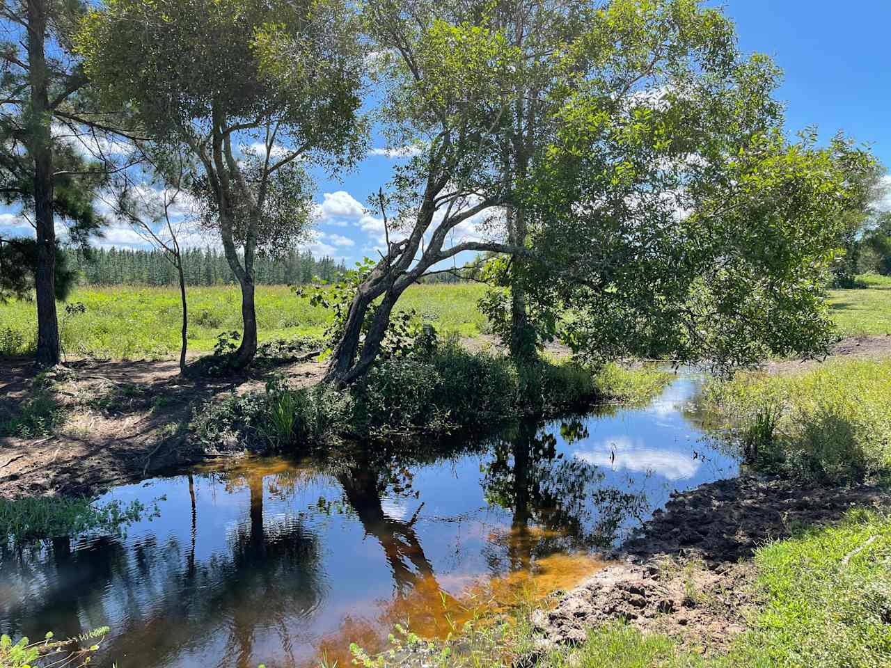 Wild Horse Retreat