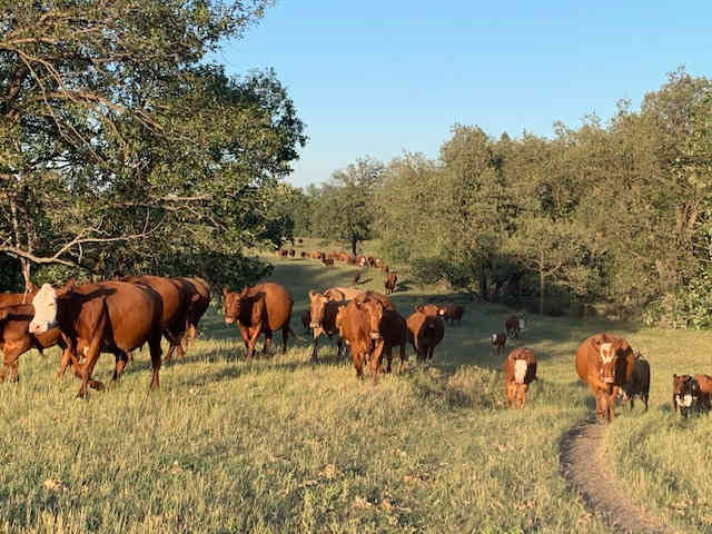 RedWater Ranch Camping