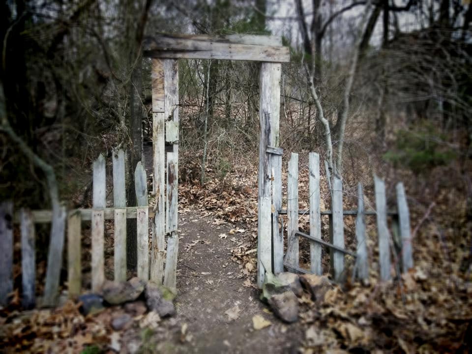 used to be the entrance to the enchanted trail- we cleared out the brush and converted this area into tent camping