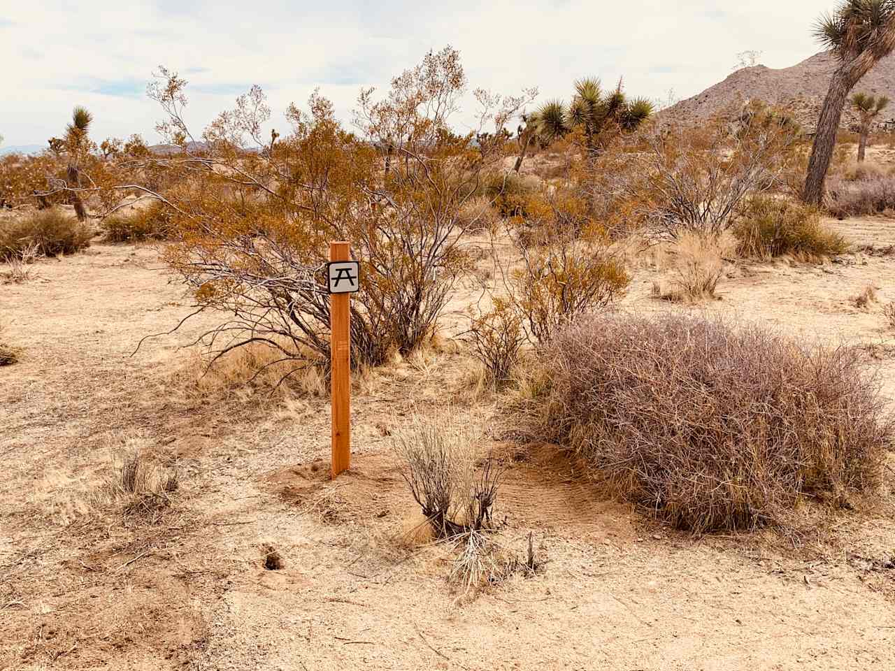 Picnic area