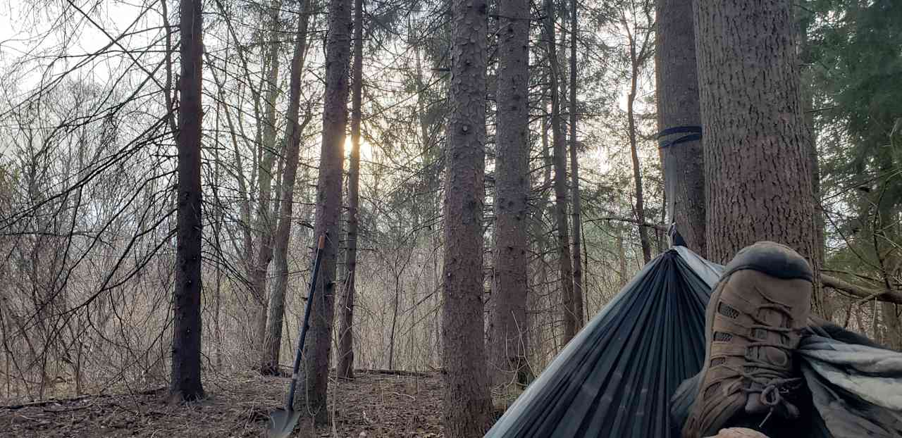 This site is very relaxing and great for hammocks due to the spacing of the trees. 