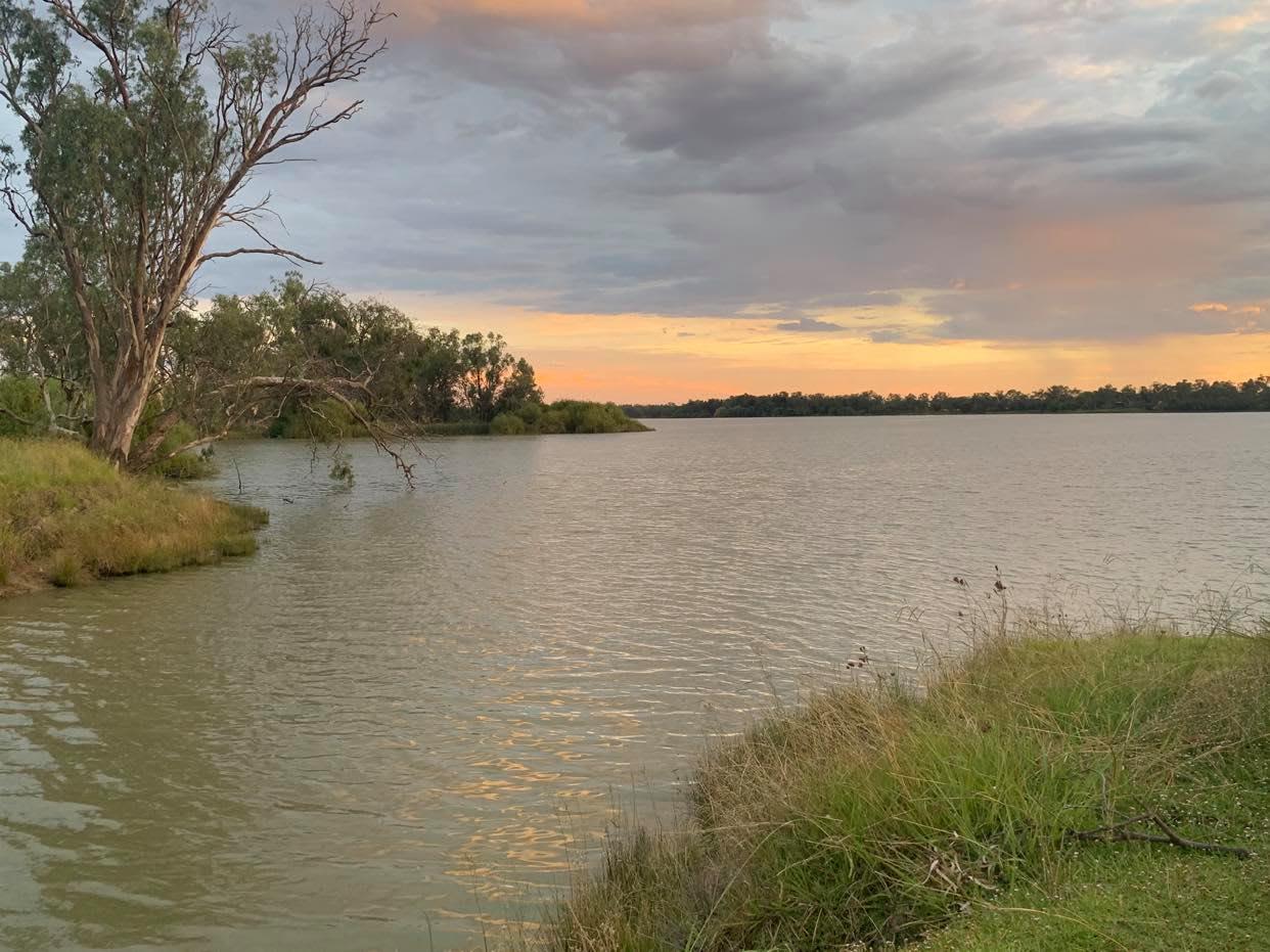 Curlew Camp - Birds & Fishing