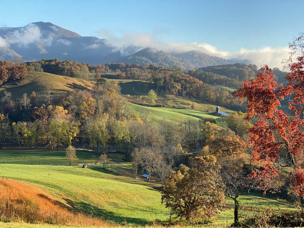 Smoky Mtn Mangalitsa River Ranch