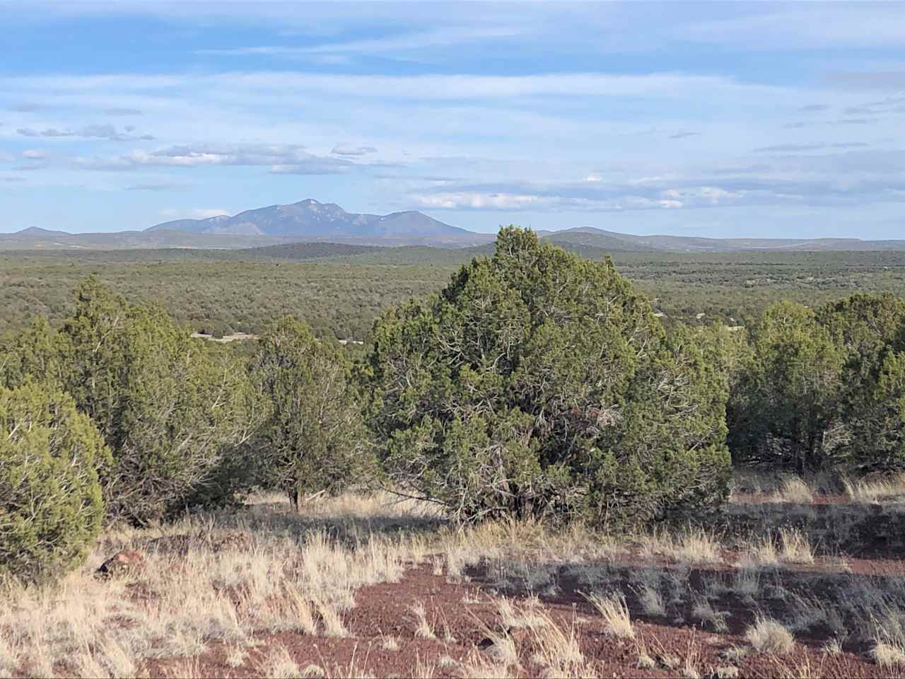 JackRabbit Run at 8 Mile Ranch