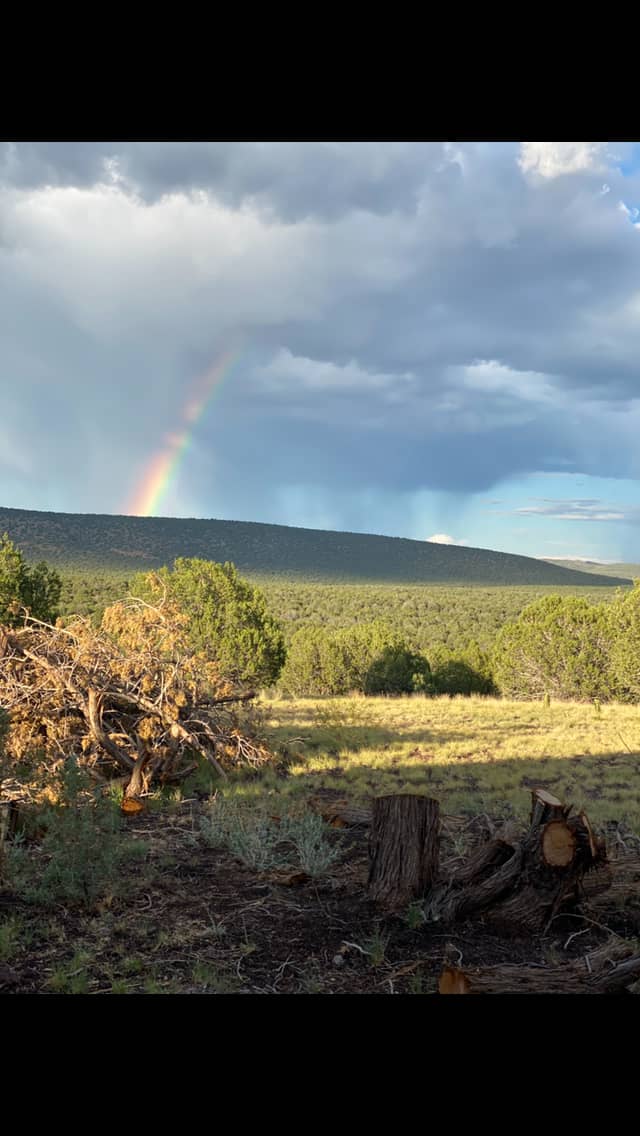 JackRabbit Run at 8 Mile Ranch