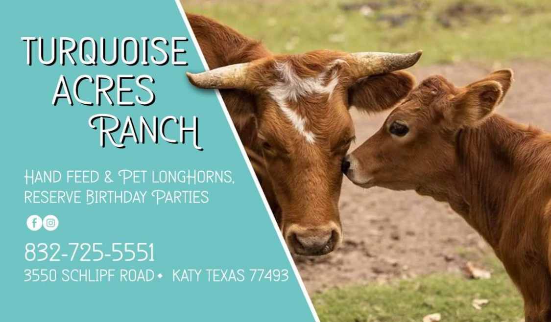 Turquoise Acres Ranch