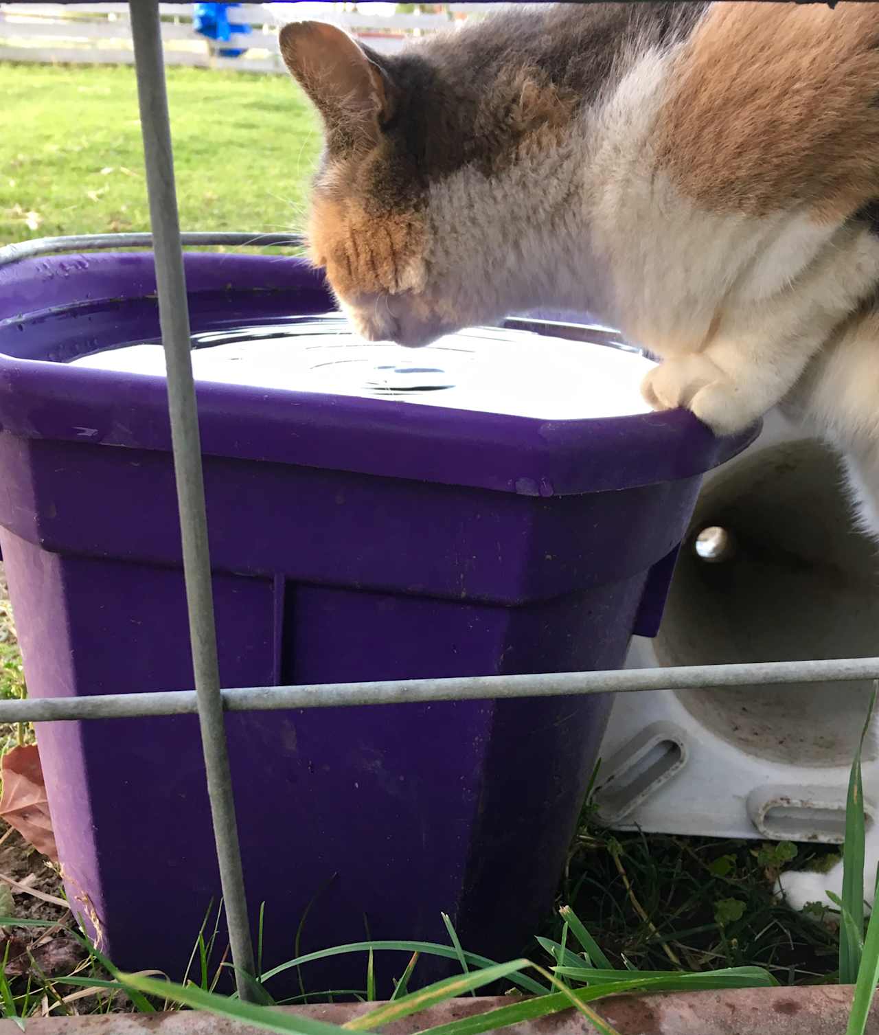 Eloise knows the importance of staying hydrated.