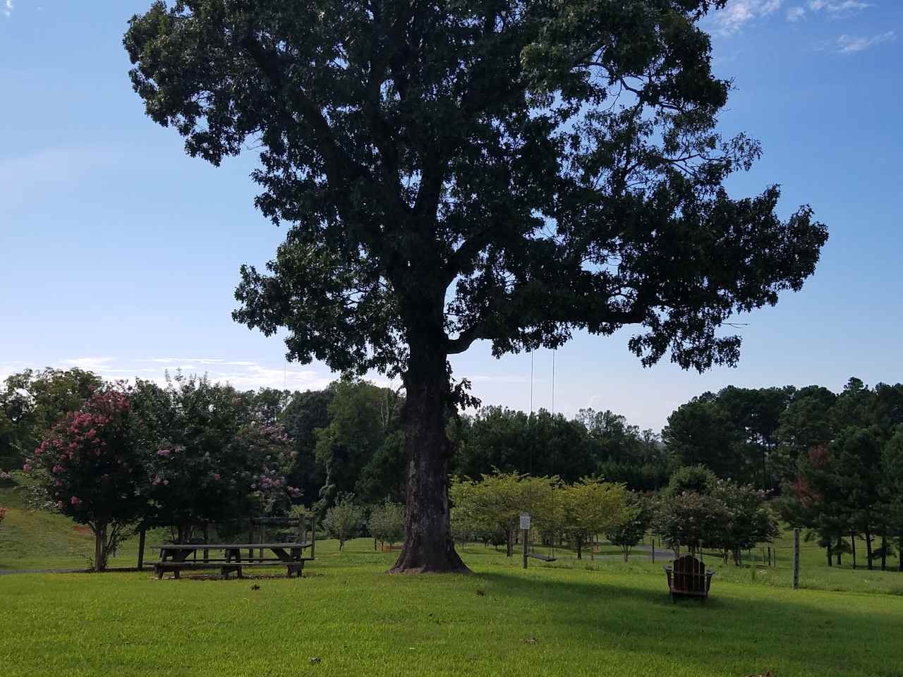 Piedmont Bison Ranch / Bison Trail