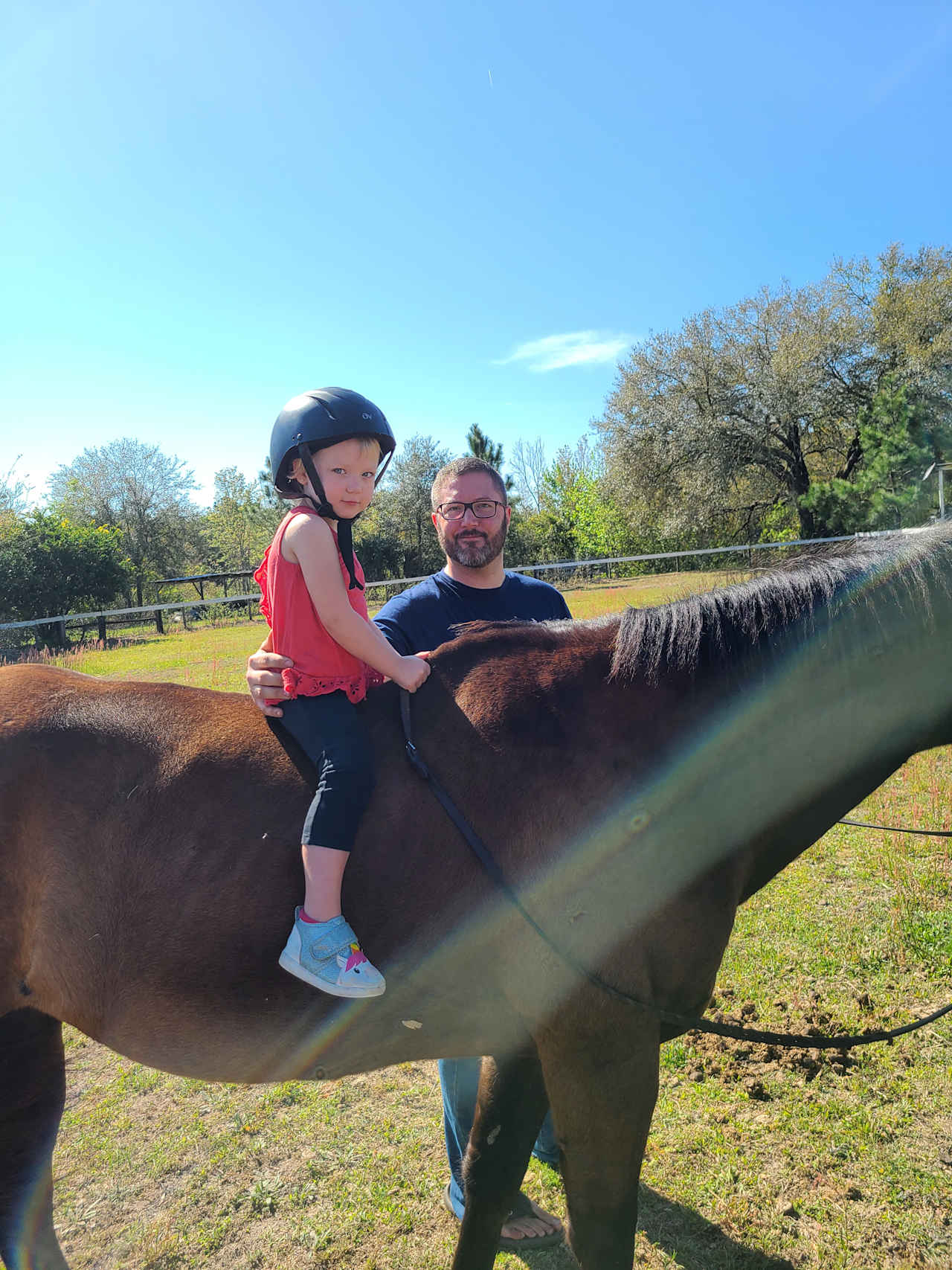 Florida fun on the farm