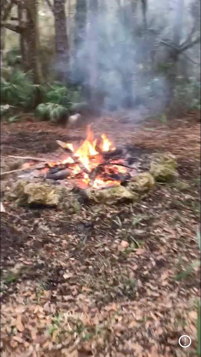 Majestic lolly pines primitive camp