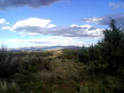 View of the Chiricahuas
