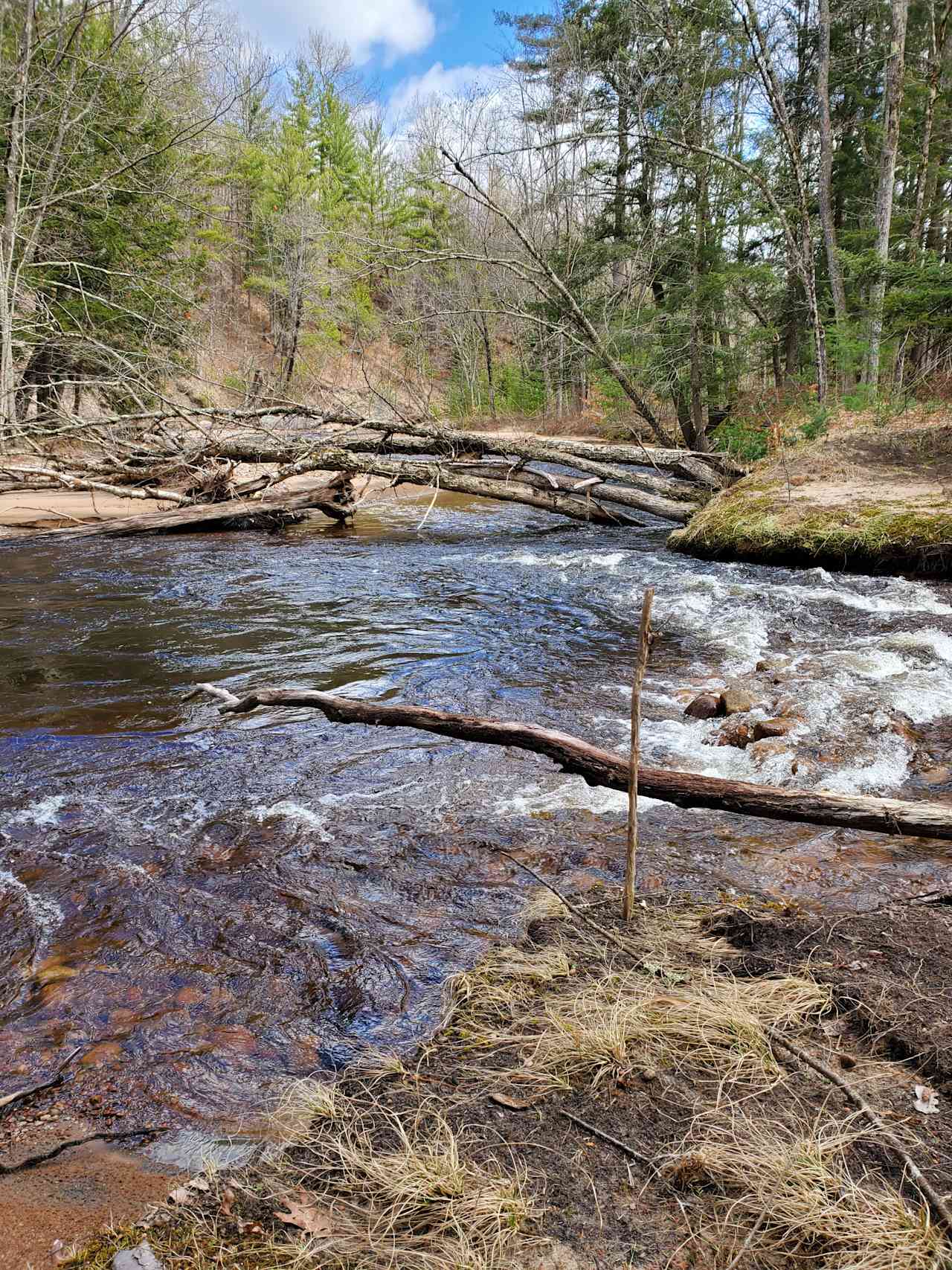 Little brookie lodge