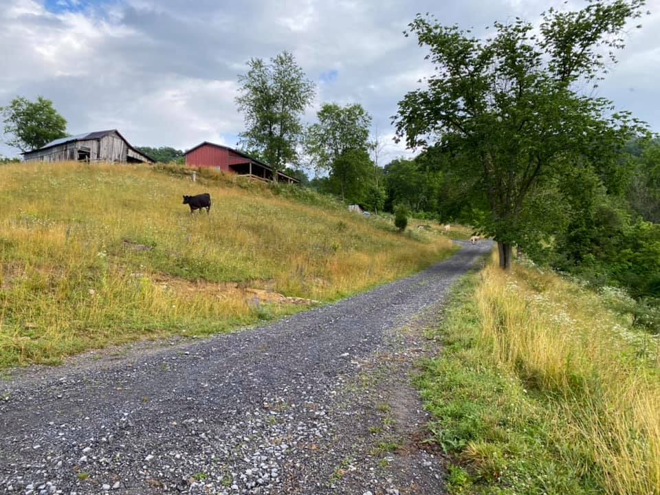 Kennedy Historic Farm