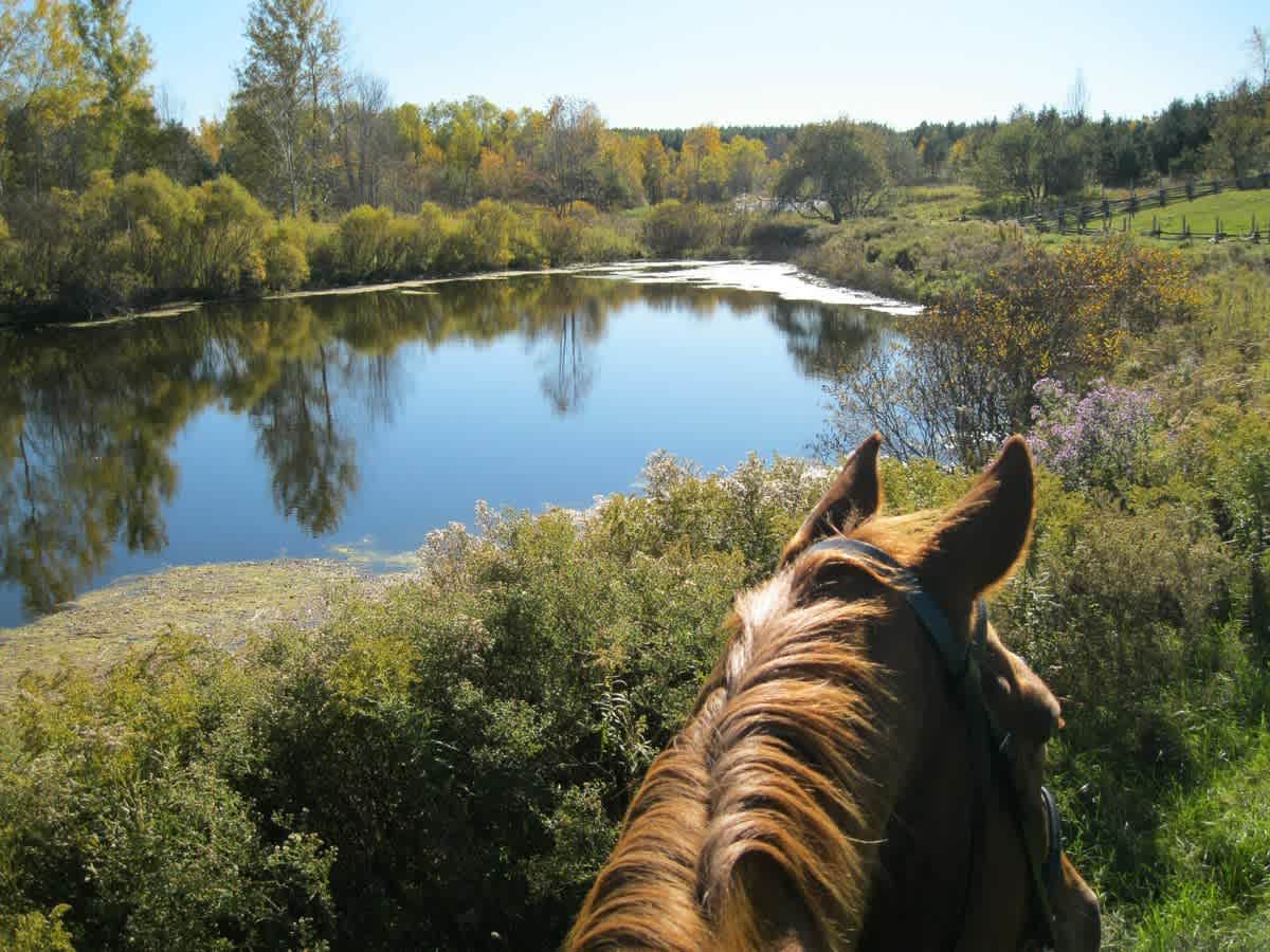 Laurenwood Farm