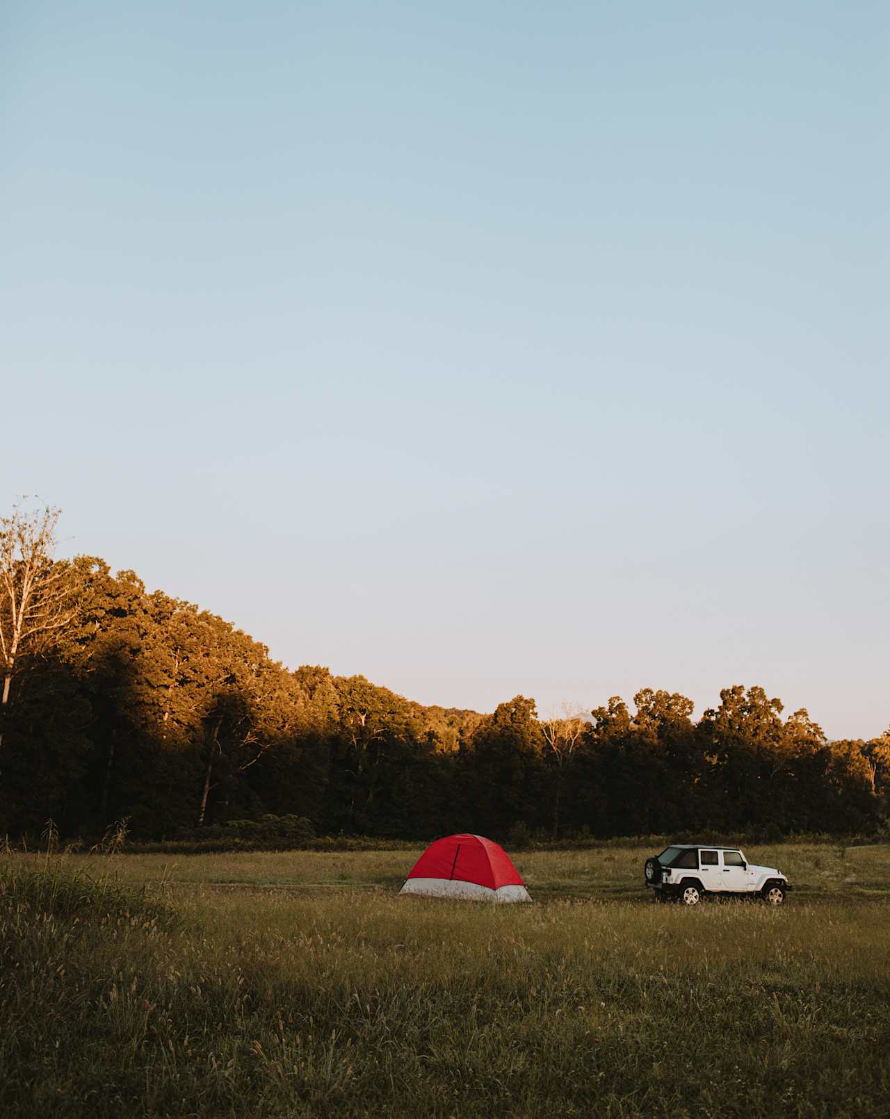 our little camp set up in the middle of the vineyard 