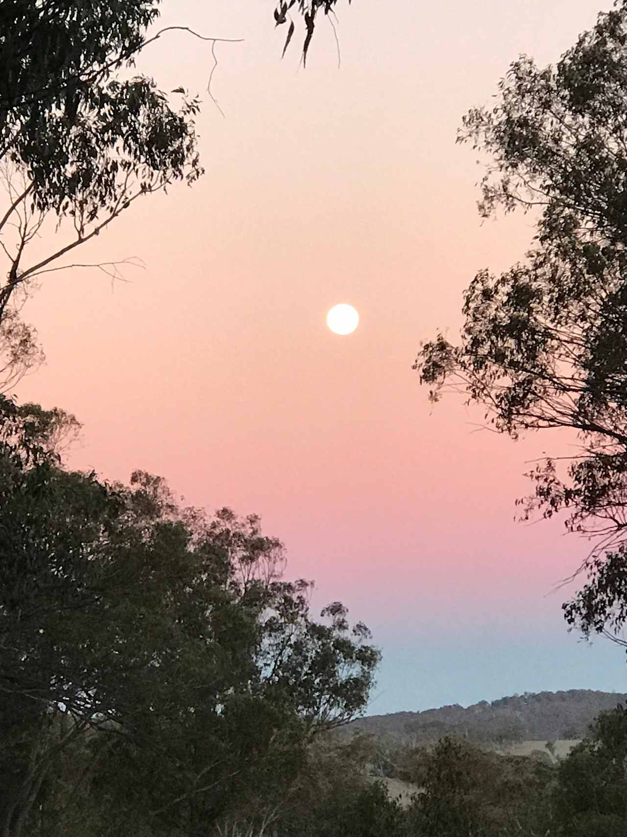 Back to Nature Bush Camping