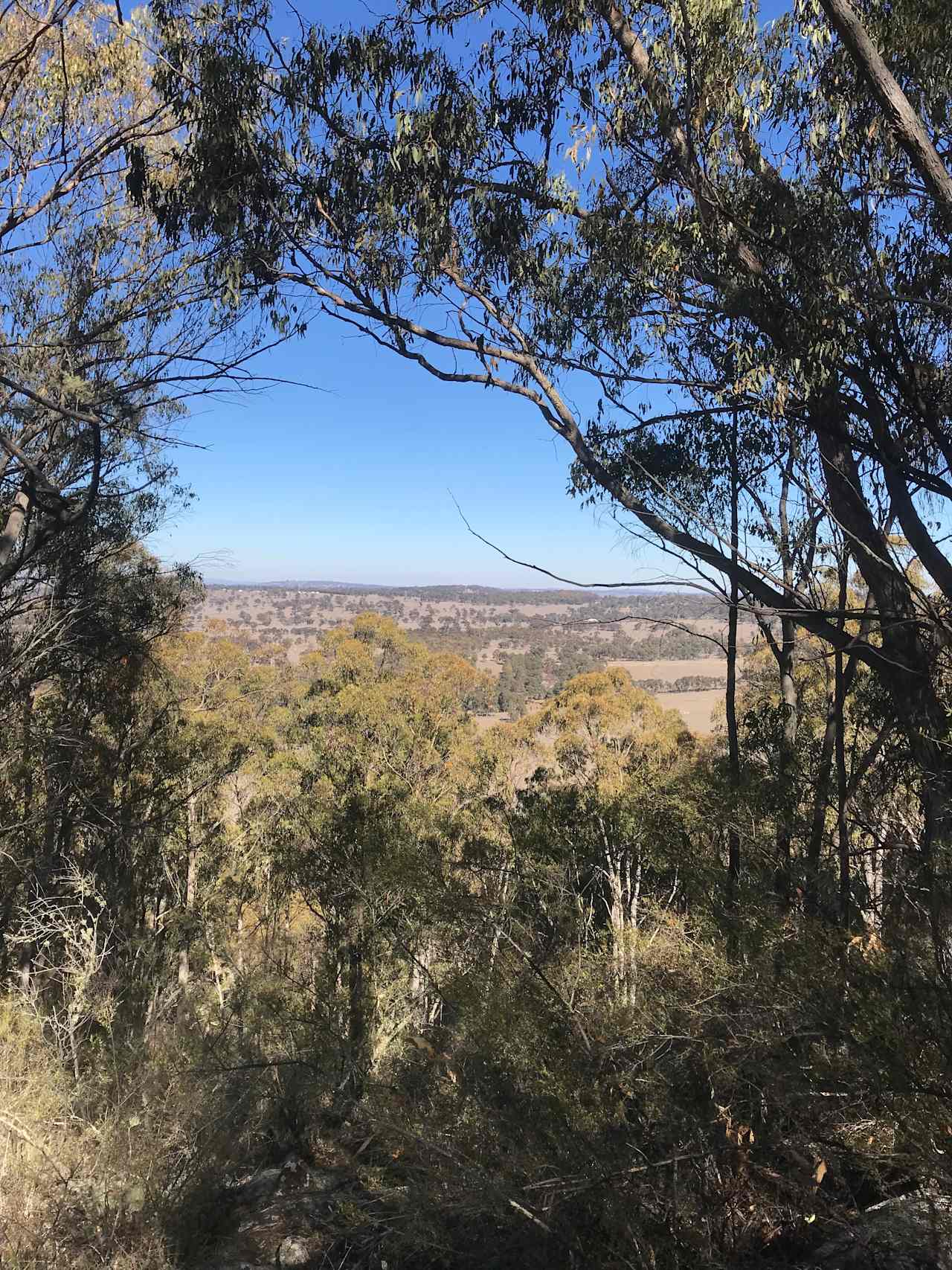 Back to Nature Bush Camping