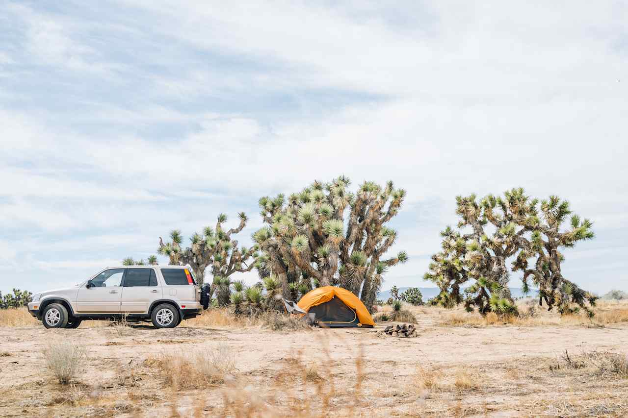 Campsite overview