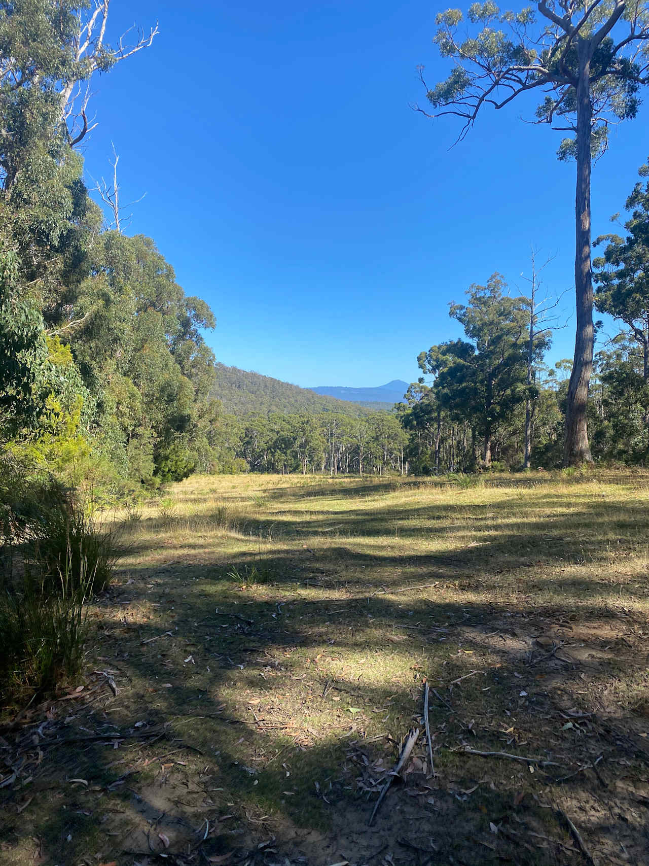 Bruny Island Bush Camp