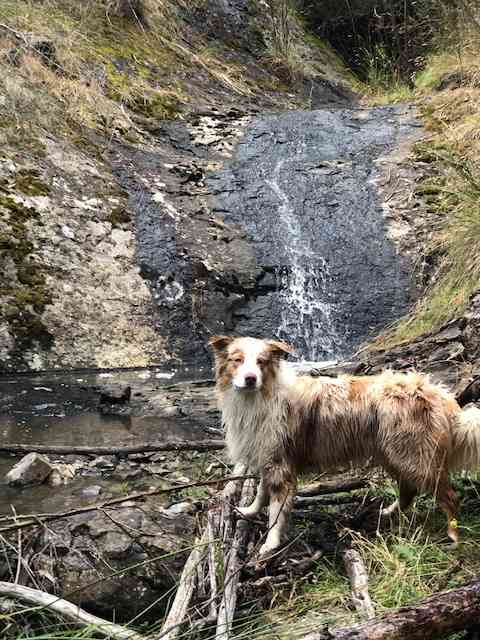 Creek and waterfalls to explore :0 