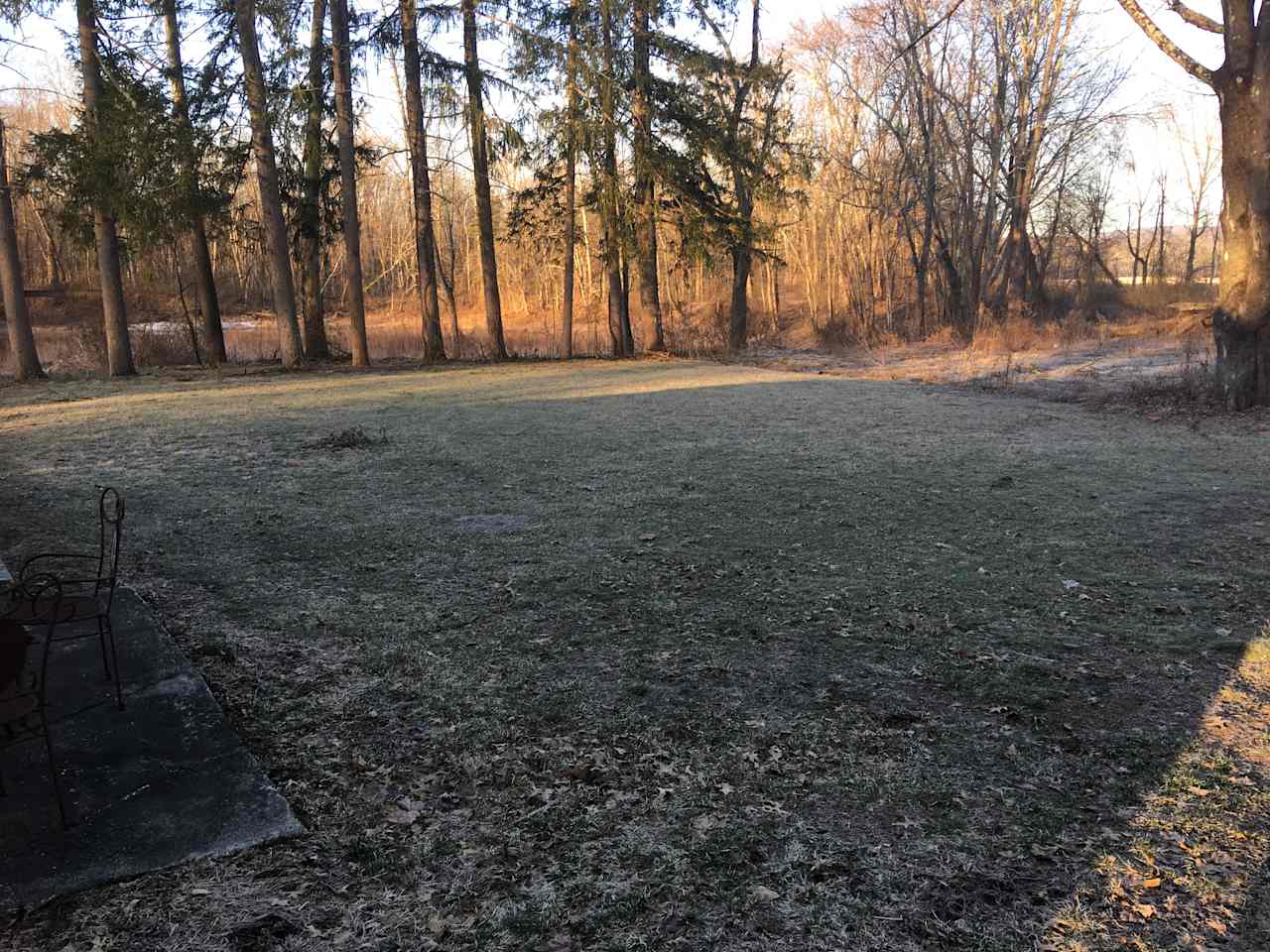 Wooded area with campsites