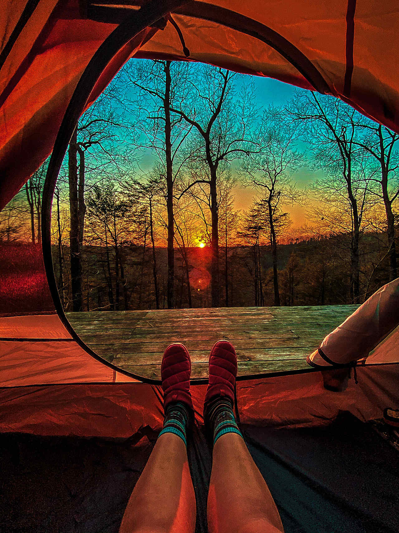 The LAAAAND (just you & 50 acres)