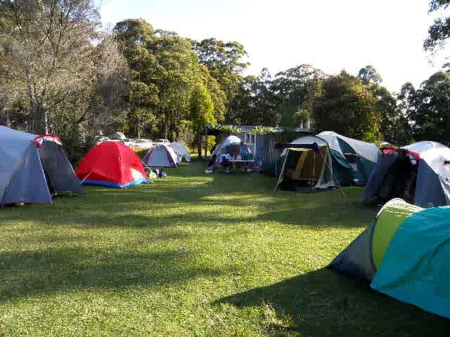 There's plenty of space for tents in our bush camping area!