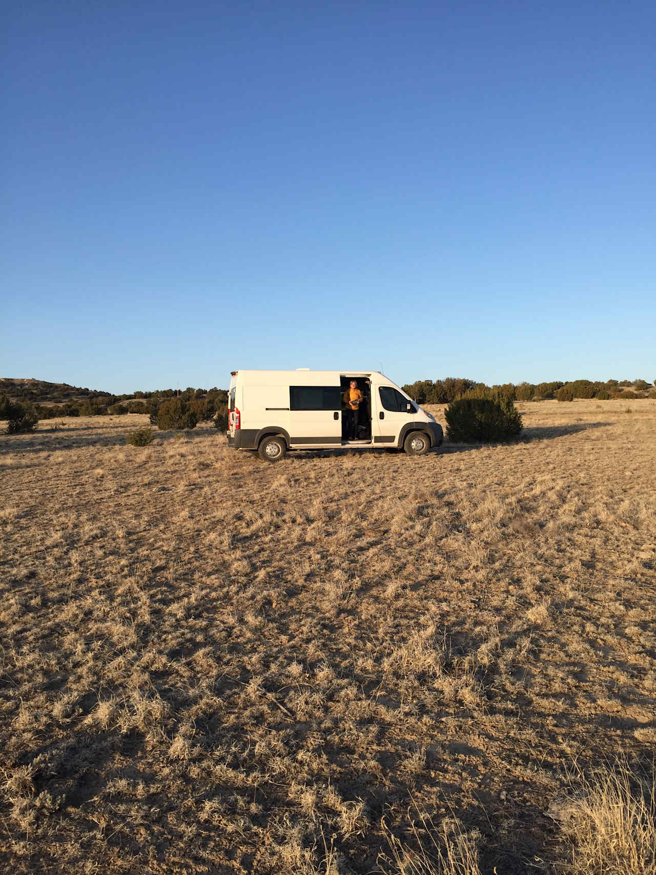 Whispering Wind Desert Oasis