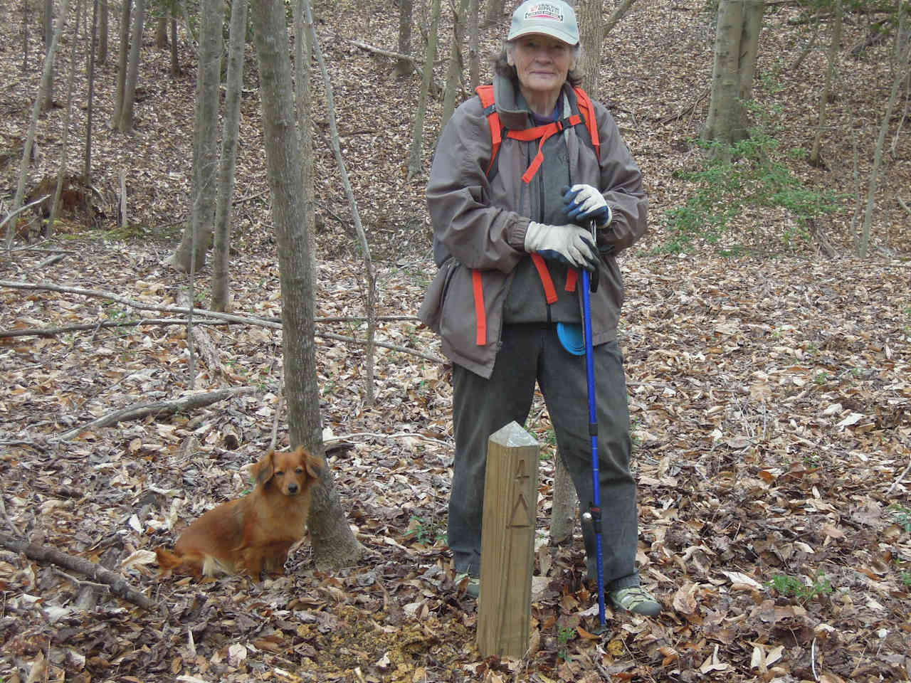 Your Host and her pup enjoying a walk...