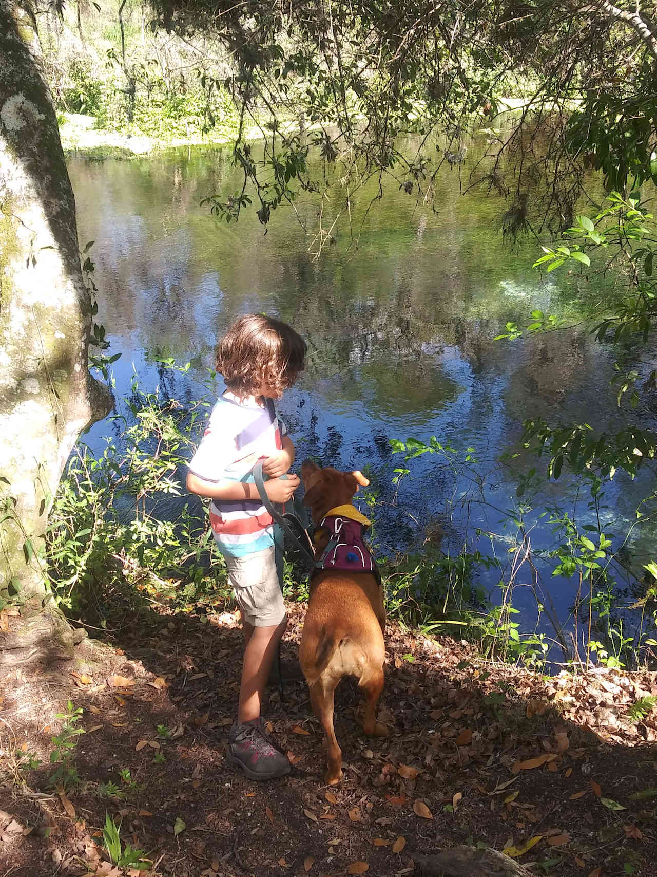 Itchitucknee Springs- one of my favorite kayaking spots.  Also a nice, peaceful little nature hike.