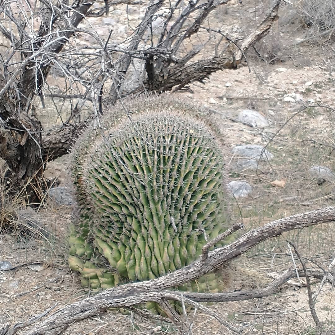 Buehman canyon