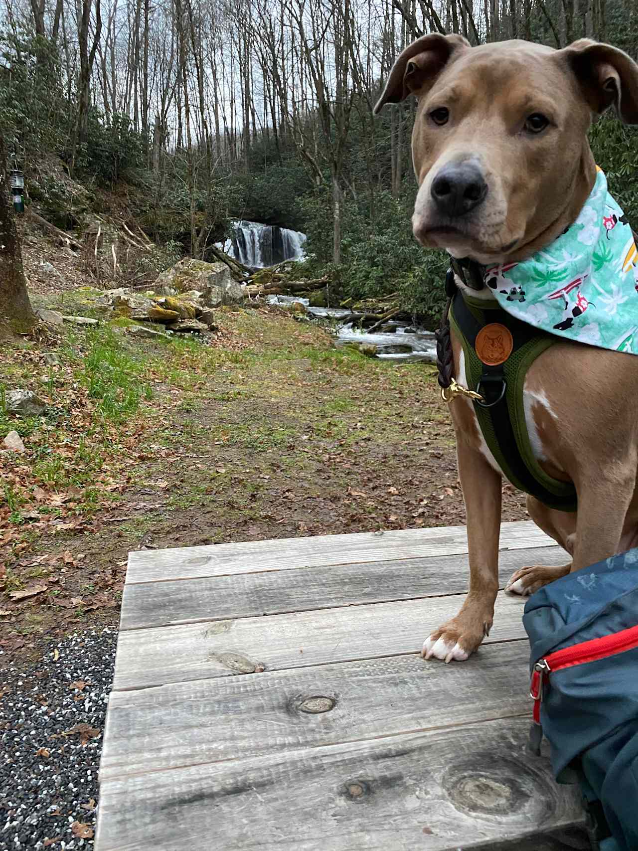 Cherokee Waterfall Campground