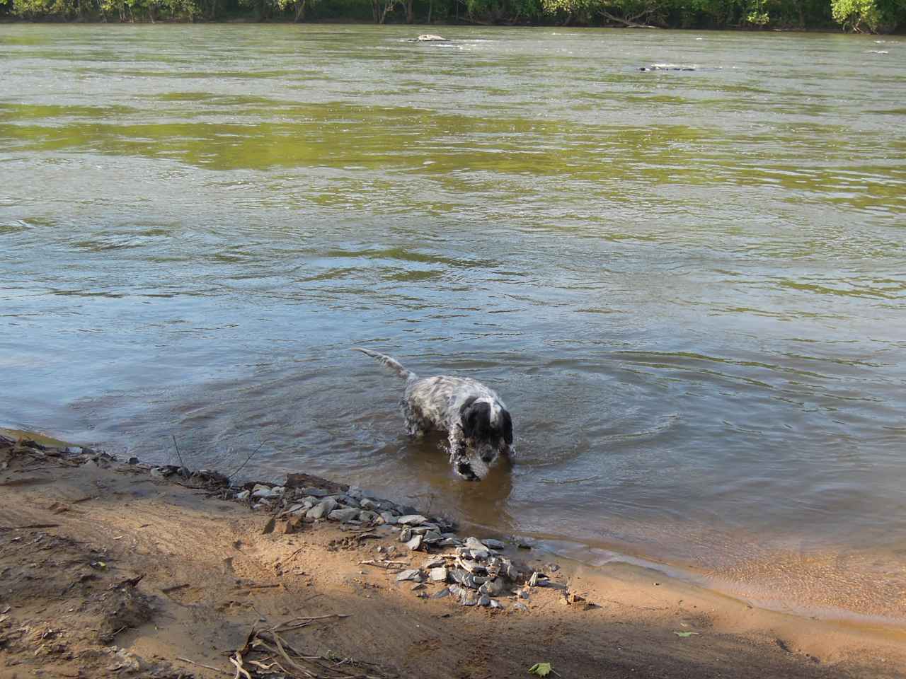 Seven Islands River Front Camping