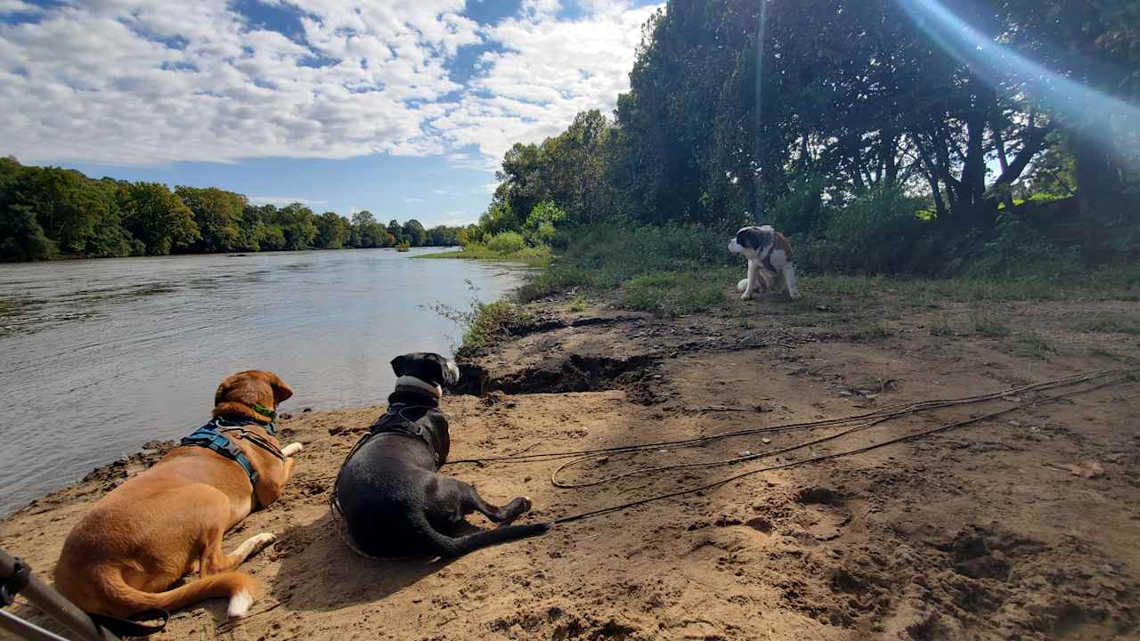 Seven Islands River Front Camping